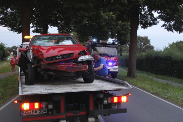 Bad Iburg: PKW knallt bei Navi-Bedienung gegen Baum