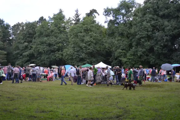 Waldflohmarkt in Osnabrück Eversburg bei allerbestem Flohmarkt-Wetter