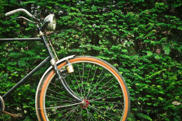 Fahrrad