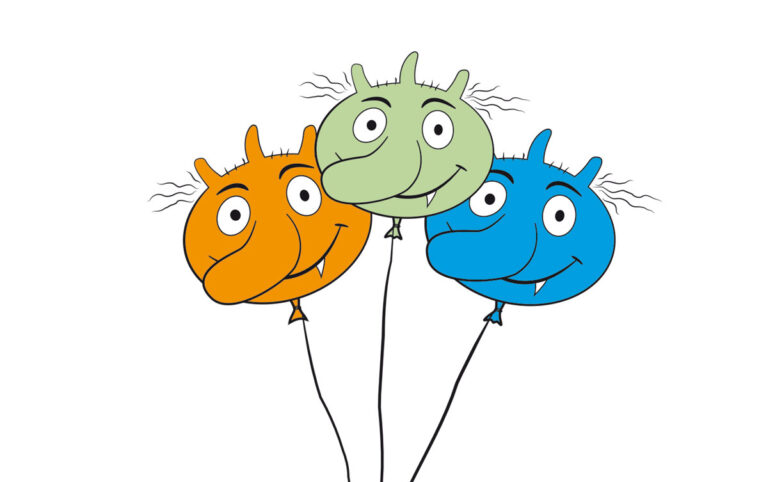 Die Olchis