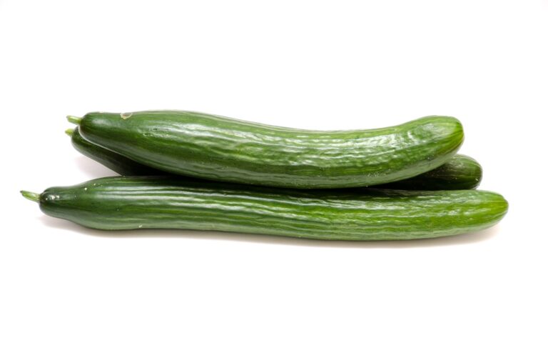 Salatgurke