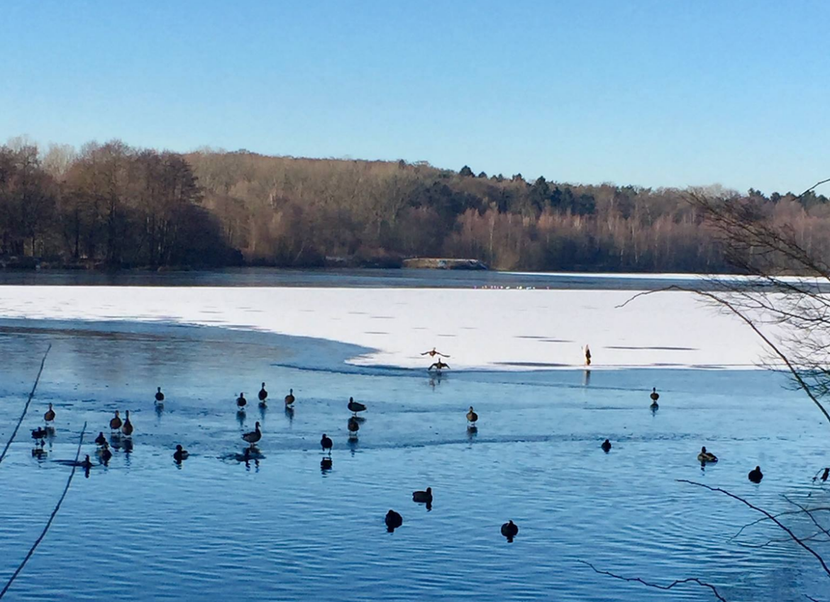 Rubbenbruchsee im Winter