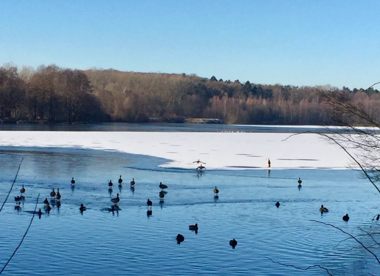 Rubbenbruchsee im Winter in Osnabrück (Gesamtstadt)