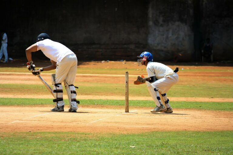 Cricket Symbolbild
