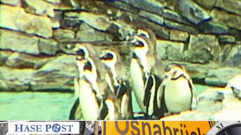 Zeitreise Osnabrück: Ein Besuch im Tiergarten ca. 1960