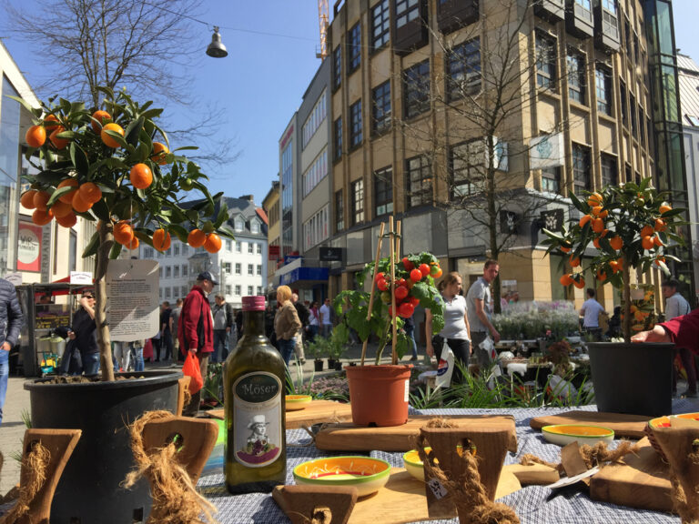 Hollandmarkt Osnabrück
