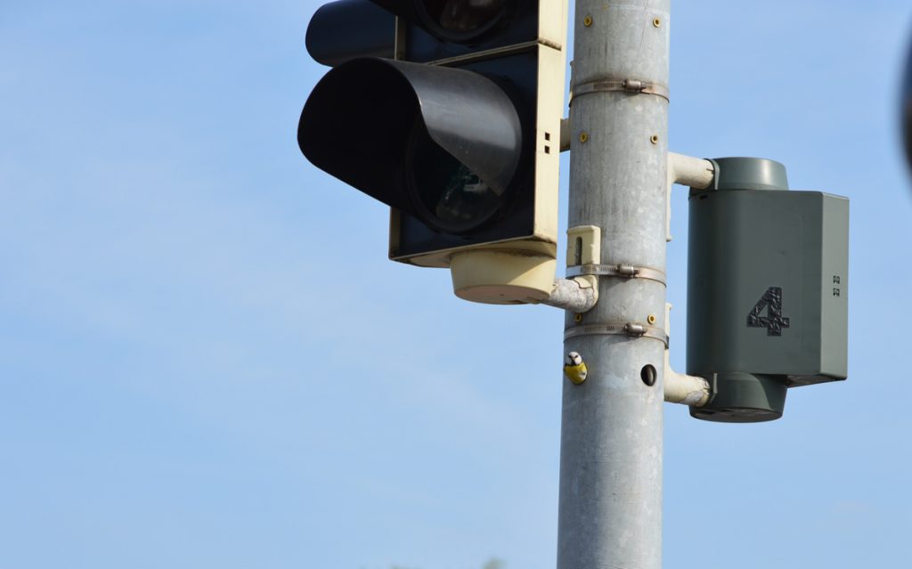 Die Meisen-Familie von Ampel Nummer 4