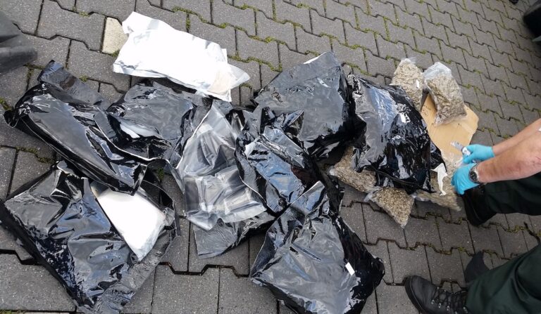 Drogenfund