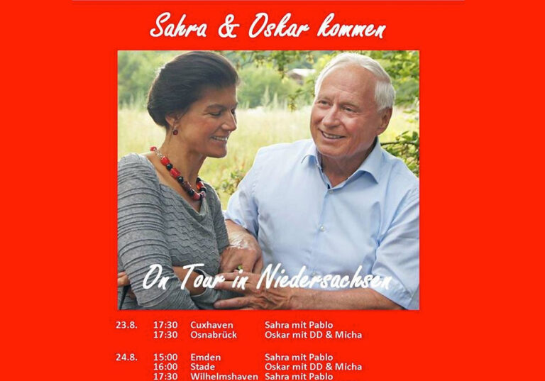 Wahlplakat die Linke