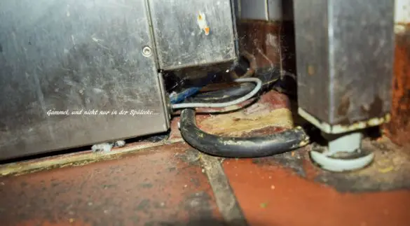 Spurensuche: Warum das Manolo in der Hasestraße geschlossen wurde