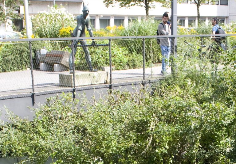 Ruwe-Brunnen: "Der Spezialist"