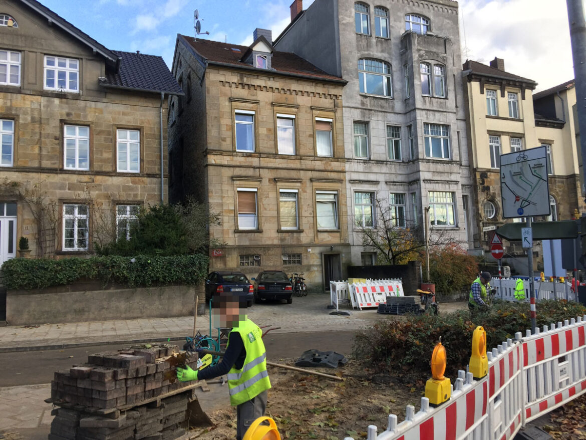 Platane, Bramscher Straße, Hansastraße, Osnabrück