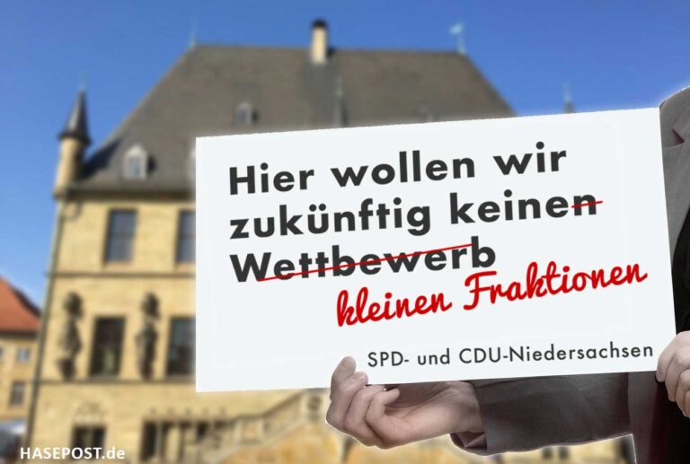 Fraktionsstatus