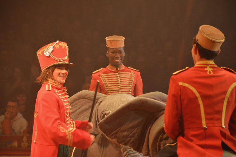 keine Wildtiere im Circus Roncalli