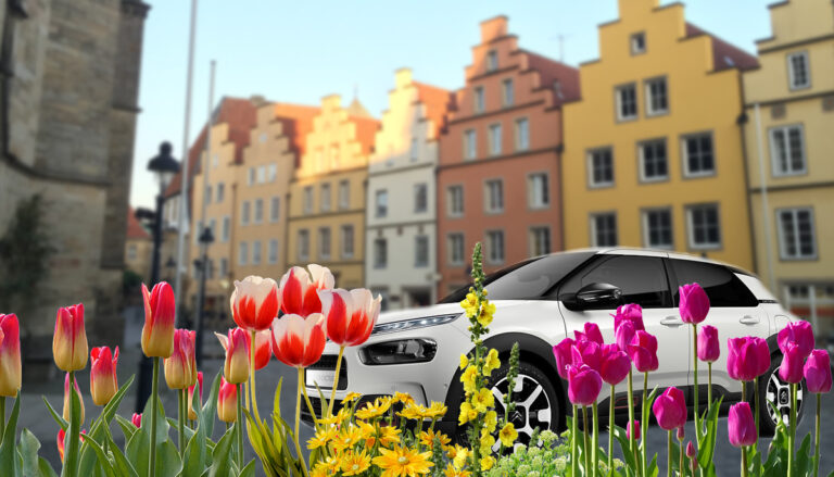 CITROËN C4 Cactus