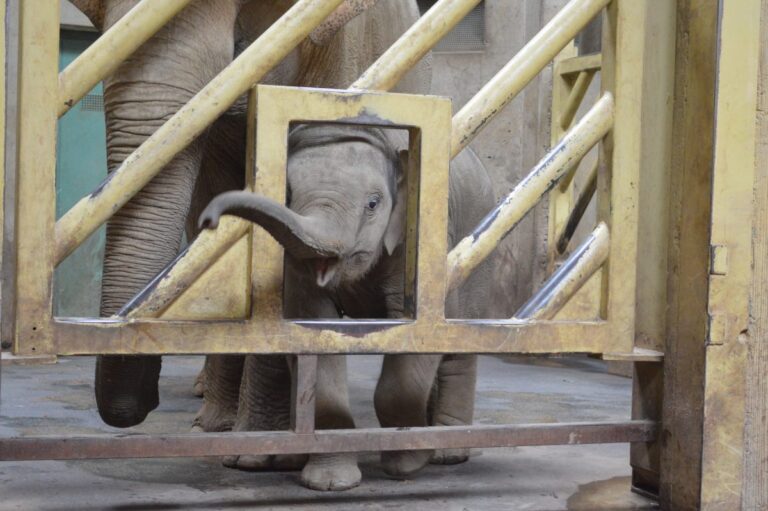 Zoo