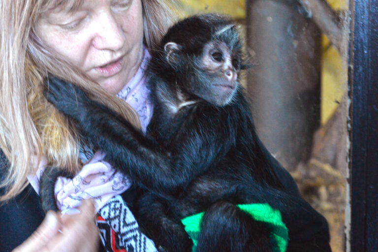Heike Läkamp, Leihmutter, Smiley Hope, Zoo Osnabrück