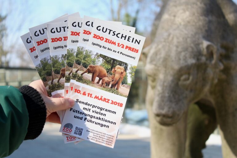 Osnabrück, Zoo Osnabrück, Halber Eintritt, Gutschein
