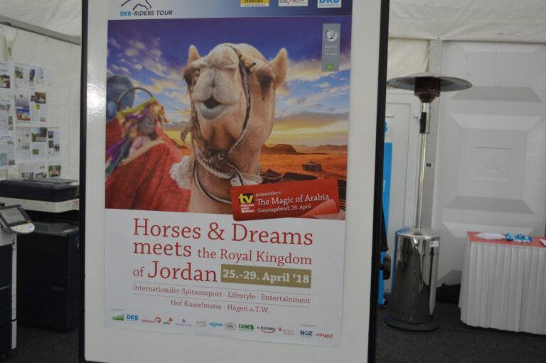 Horses & Dreams