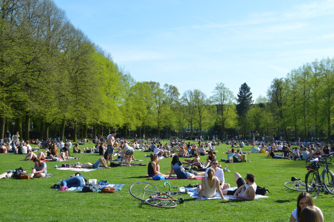 Wiese im Schlossgarten Osnabrück