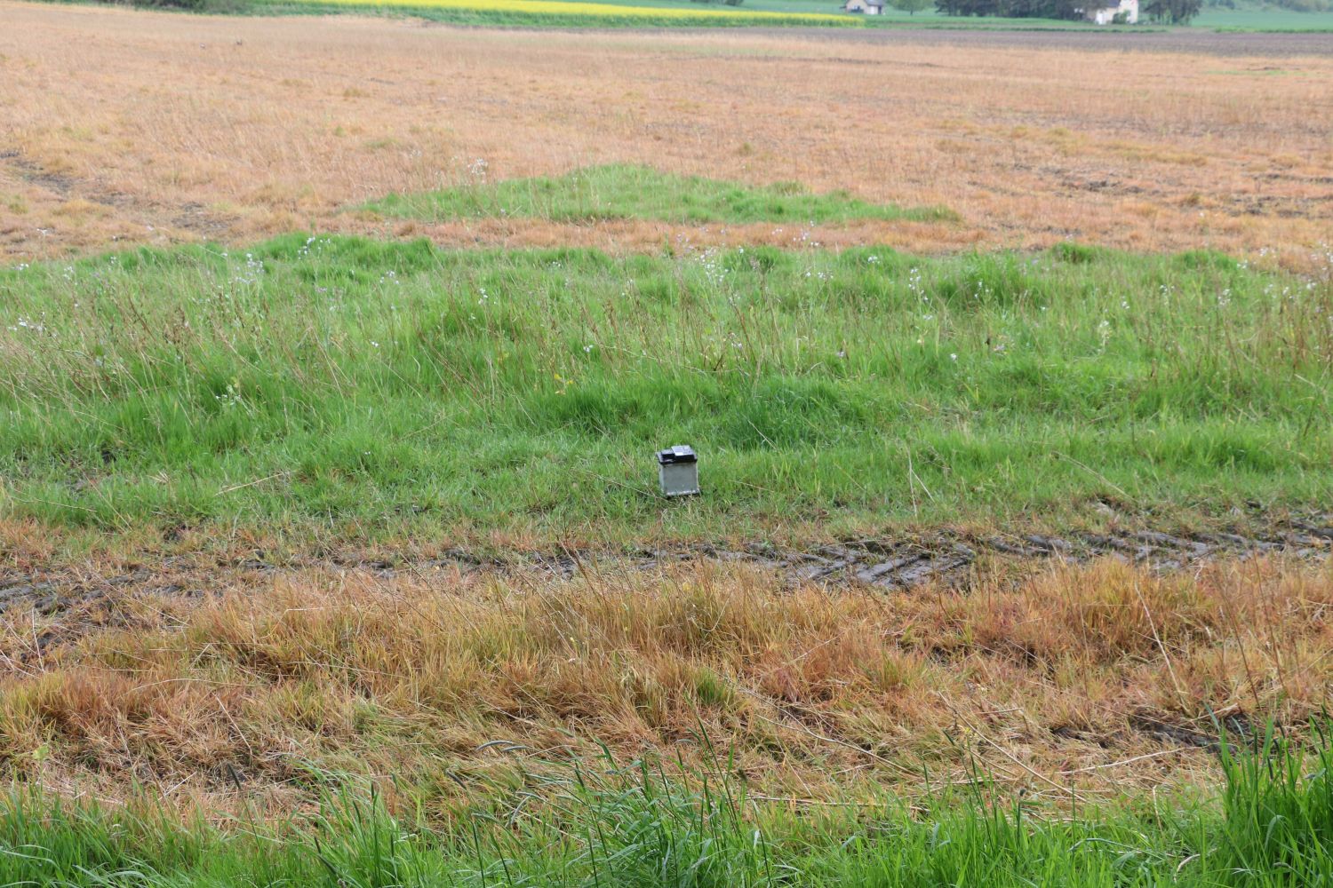 2018-05-01_Verkehrunfall-PKW-gegen-Baum-Bohmte-Ostercappeln-Landkreis-Osnabrueck_004 PKW prallt in Bohmte bei Osnabrück gegen Baum