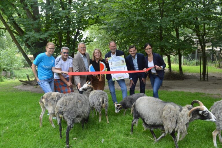 6. Zoo-Lauf in Osnabrück