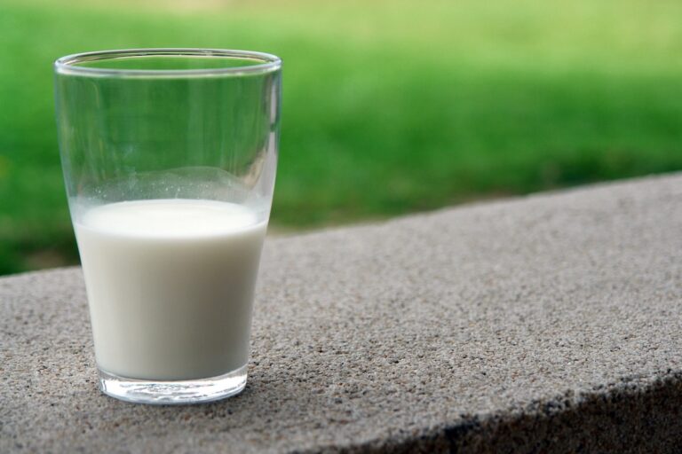 frische Milch im Glas