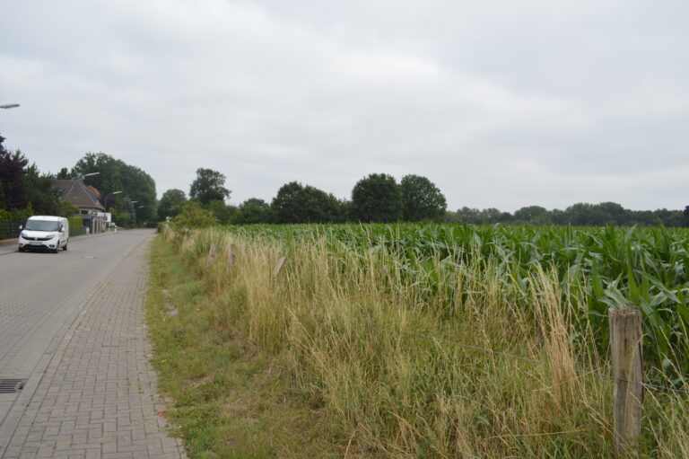 Hellern Kampweg