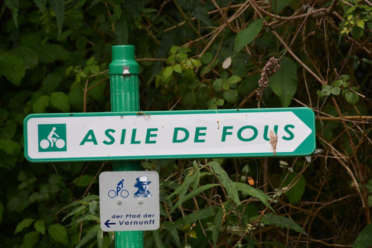 Pedalophile Asile de Fous