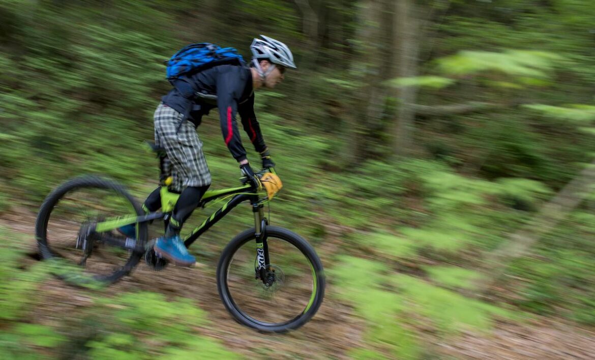 Mountainbiker im Wald