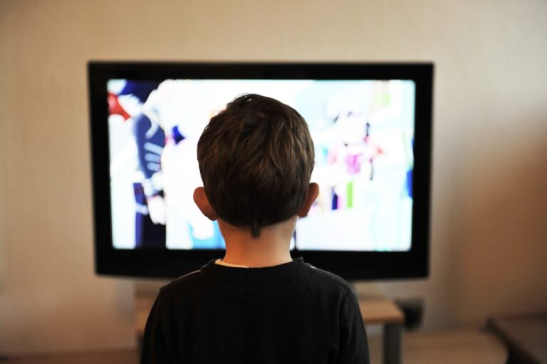 Fernseher