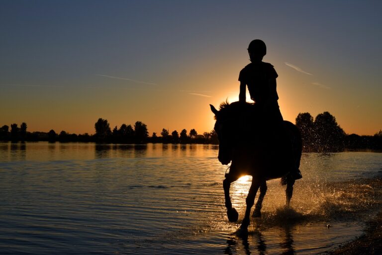 Reiten in der Dämmerung