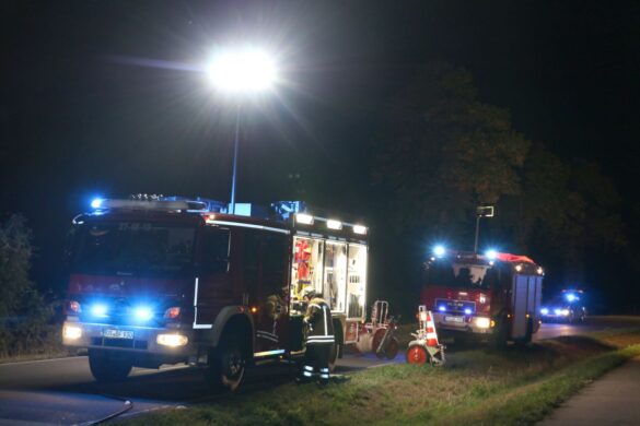 PKW prallt in Bad Laer frontal gegen Baum