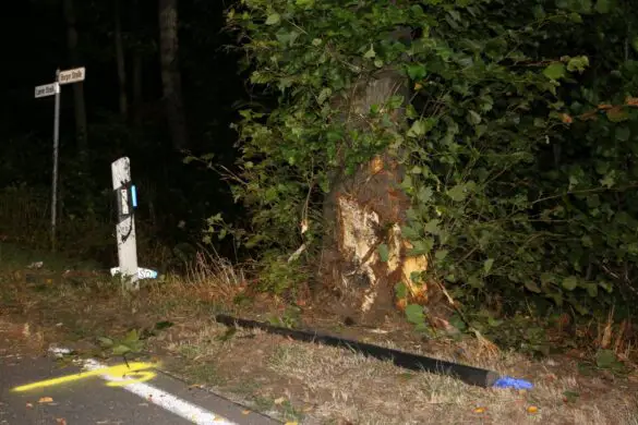 PKW prallt in Bad Laer frontal gegen Baum