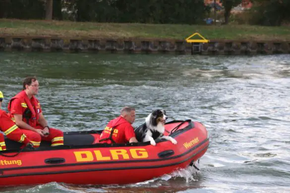2018-09-29_Katastrophenschutz-Uebung-DLRG-Osnabrueck-Einsatzzug-Wasserrettung_009_b1 Ganztägige Katastrophenschutzübung der DLRG im Landkreis Osnabrück