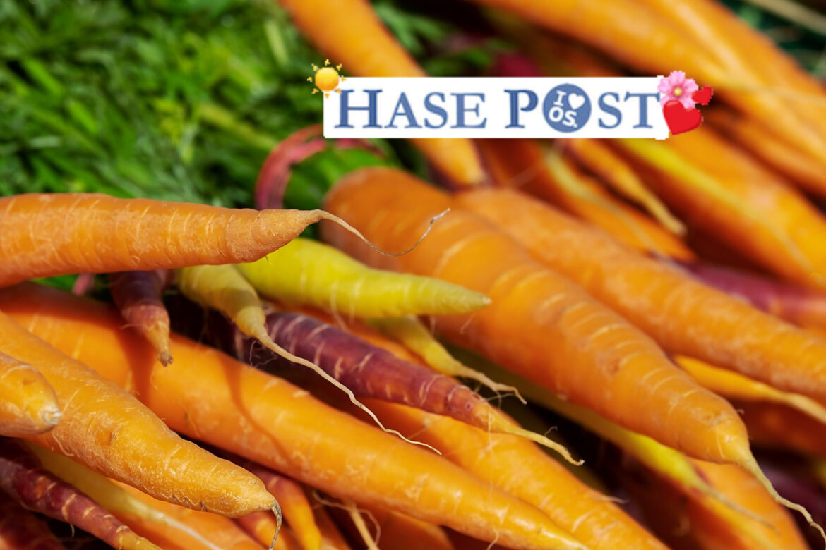 Muss es immer perfekt sein? (Symbolbild: Karotte)