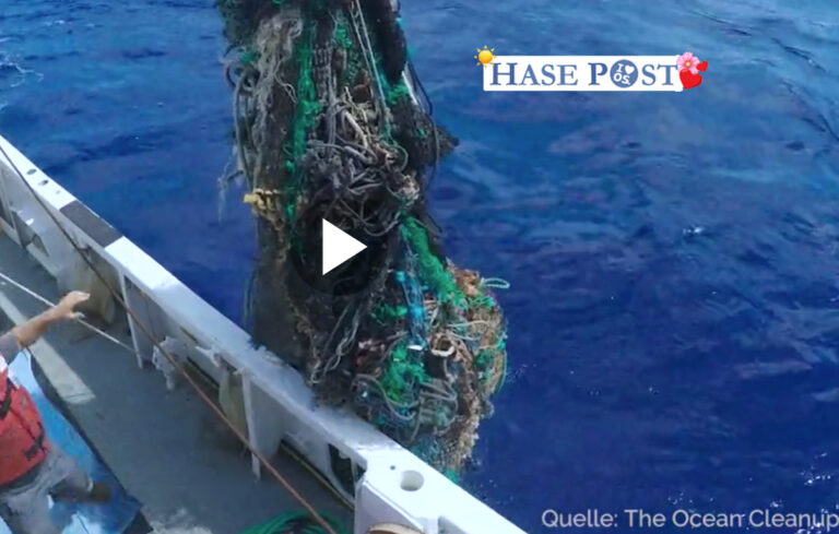 the Ocean Cleanup