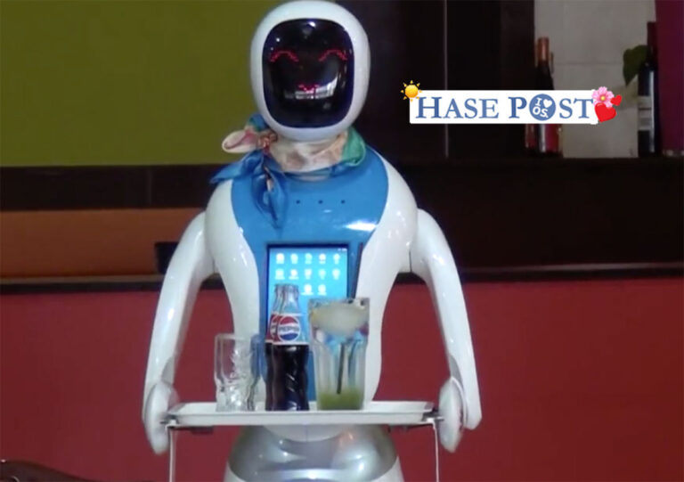Roboter serviert in Ungarn