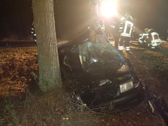2018-11-27_Unfall-zwei-PKW-gegen-Baum-toedlich_Bohmte-Landkreis-Osnabrueck_012 Tödlicher Verkehrsunfall in Bohmte im Landkreis Osnabrück