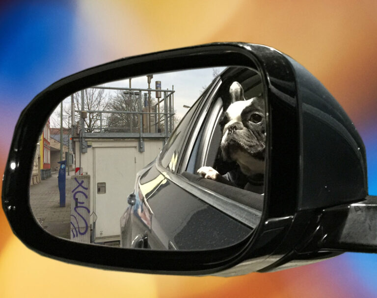 Messcontainer direkt am Straßenrand