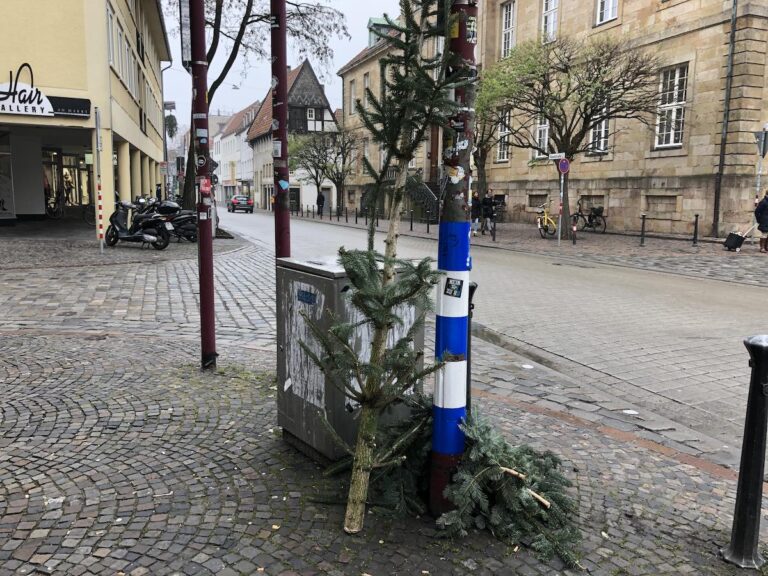 Hasestraße