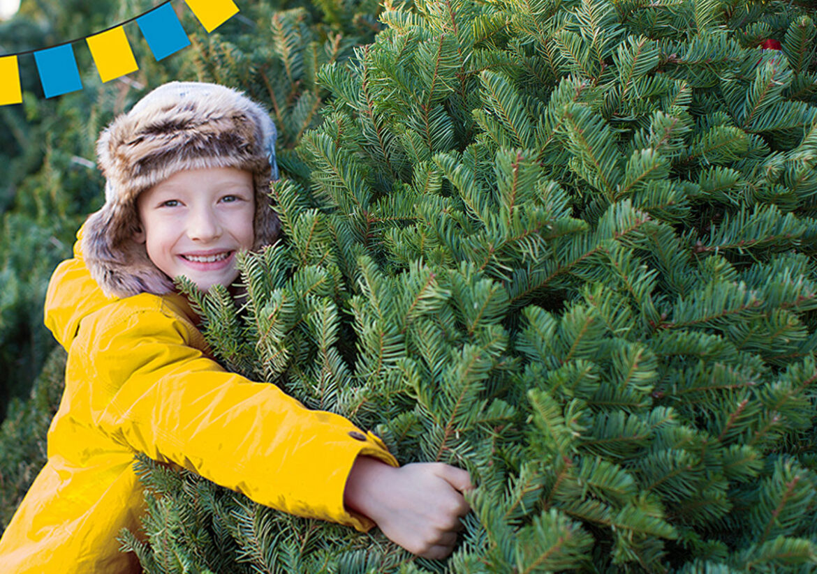 Knut in der Kamp-Promenade, Osnabrück