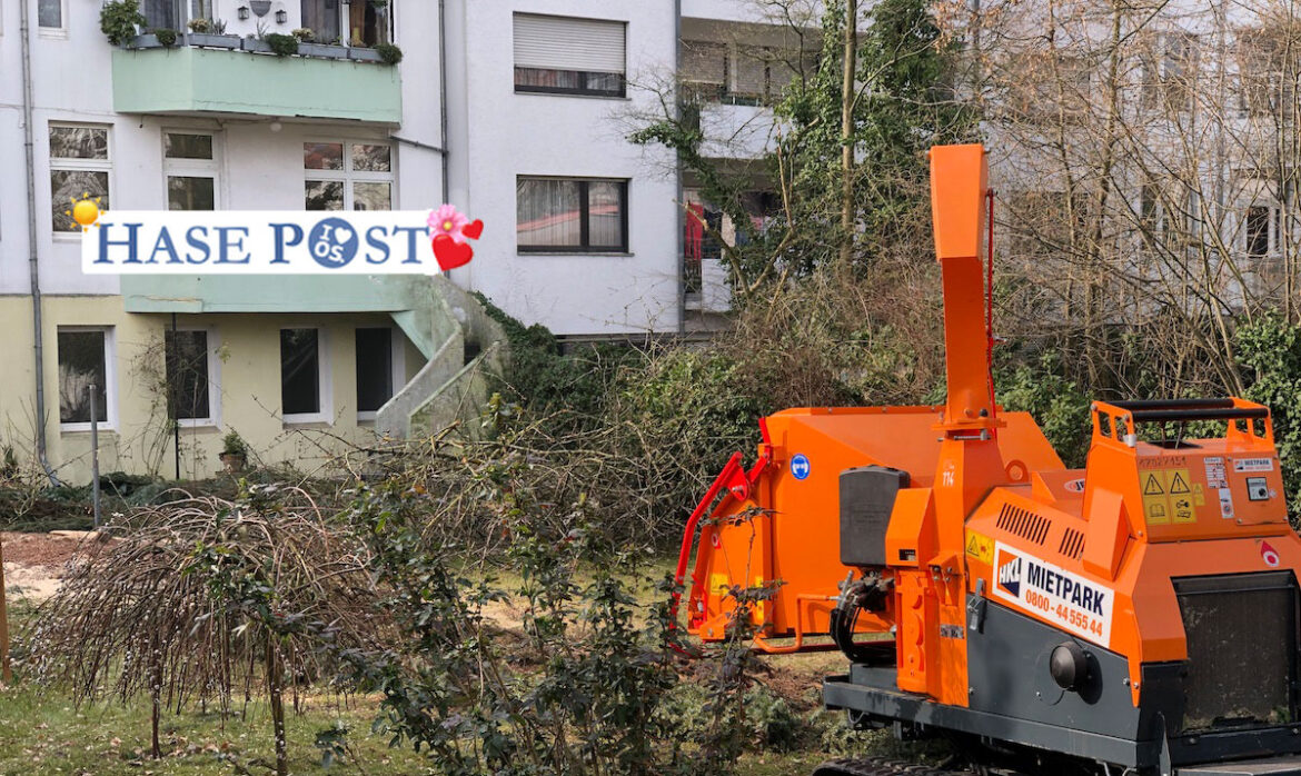 Der Baum im Vordergrund wurde schon früher gefällt