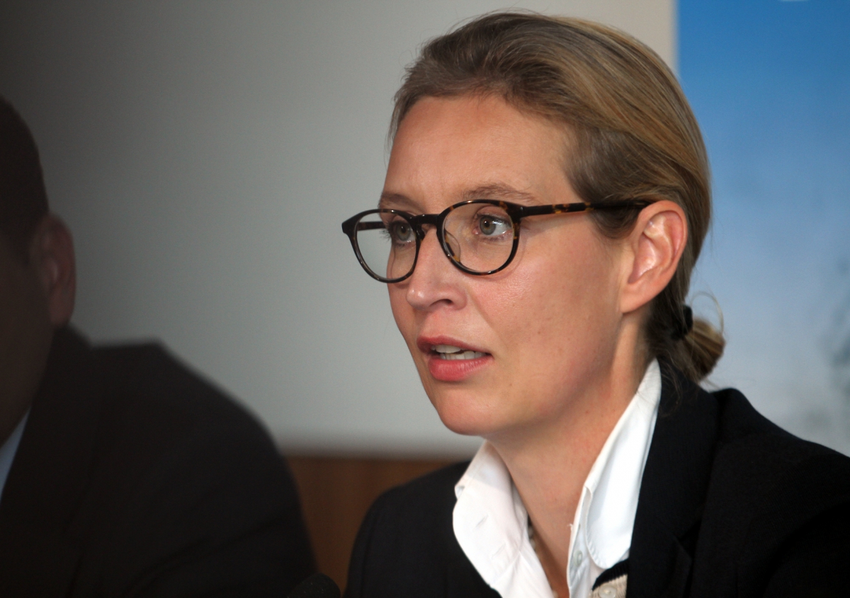 Weidel Will Wieder AfD-Fraktionschefin Werden - Hasepost.de