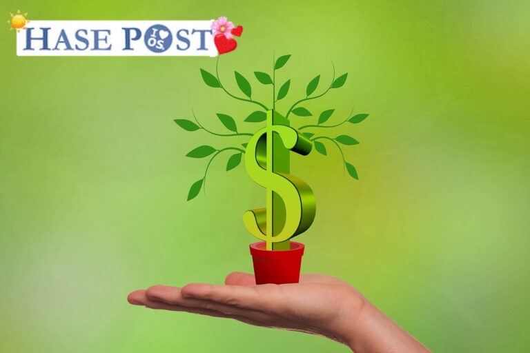 Start-up, Geld