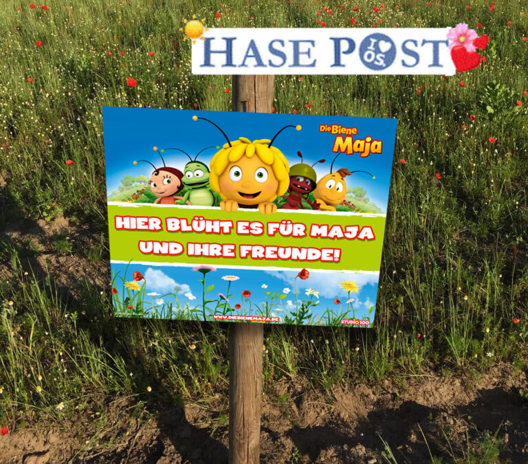 Biene Maja, Biene