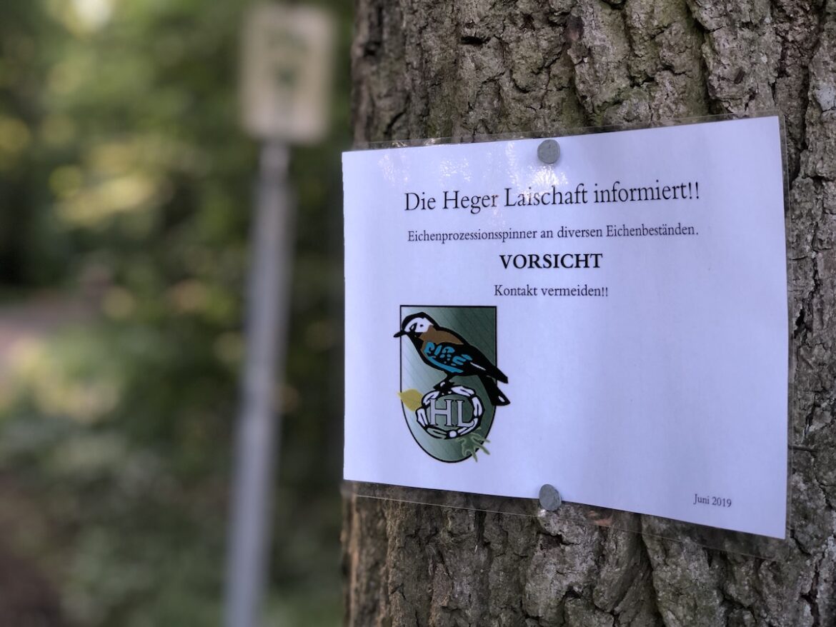 Warnung vor dem Eichenprozessionsspinner im Heger Holz