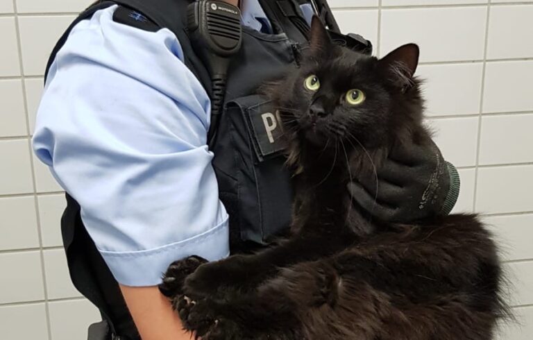 Foto: Bundespolizei Bremen