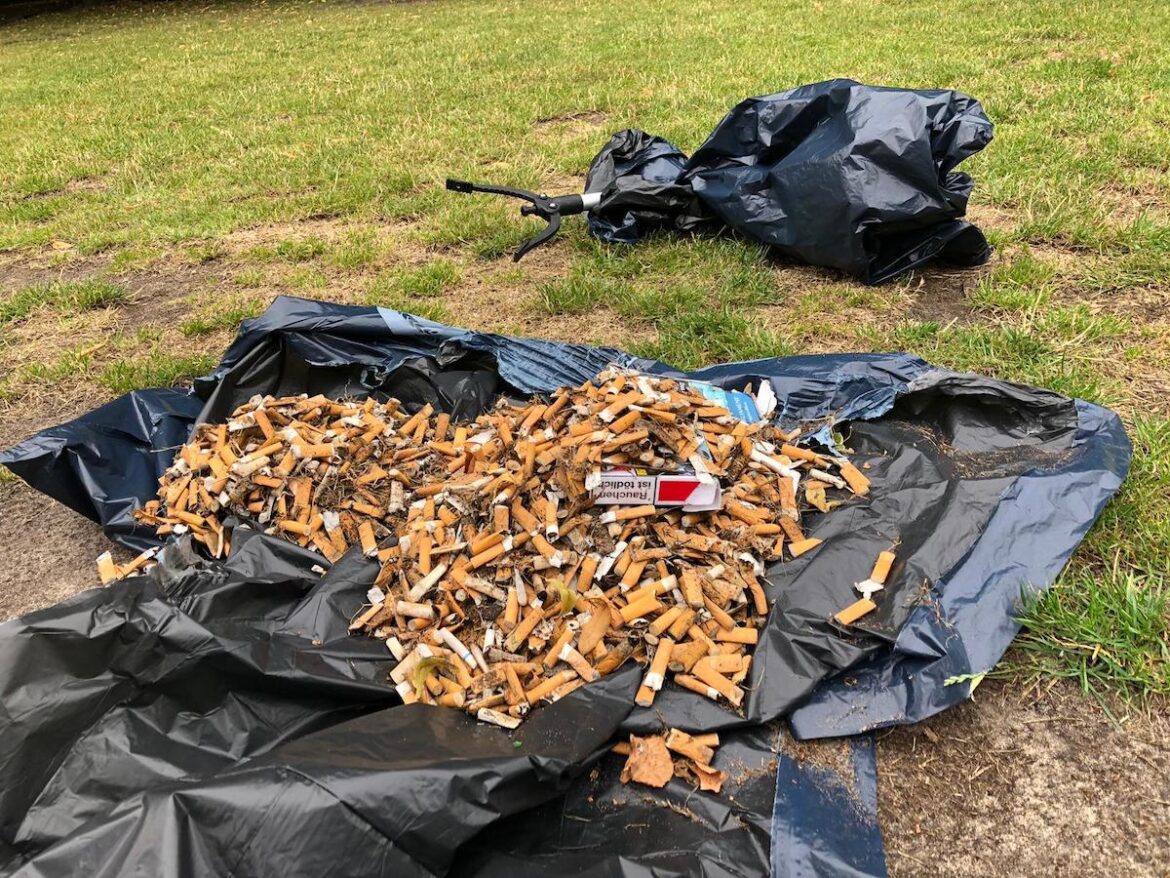 Ergebnis von einer Stunde Sammelarbeit; Foto: puramondo