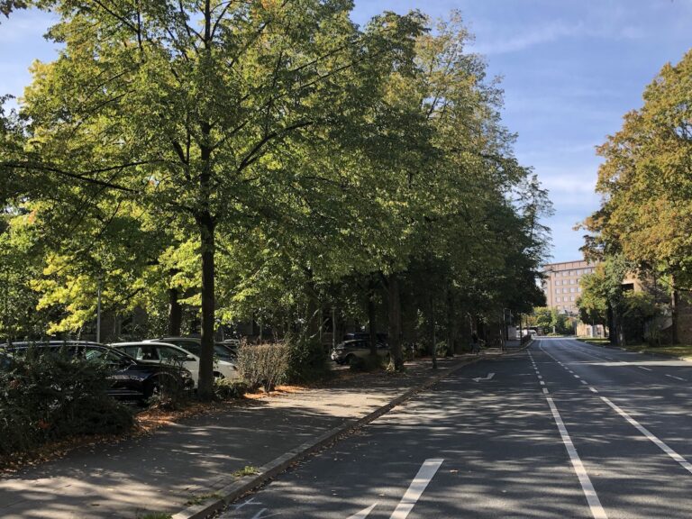 Parkplatz am Dominikanerkloster (links)